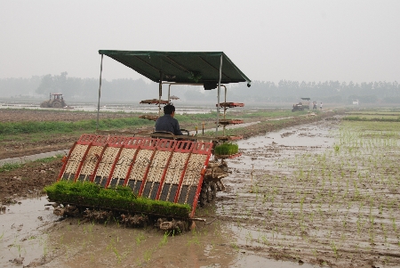 河南潢川縣搶天奪時(shí)戰(zhàn)“三夏”