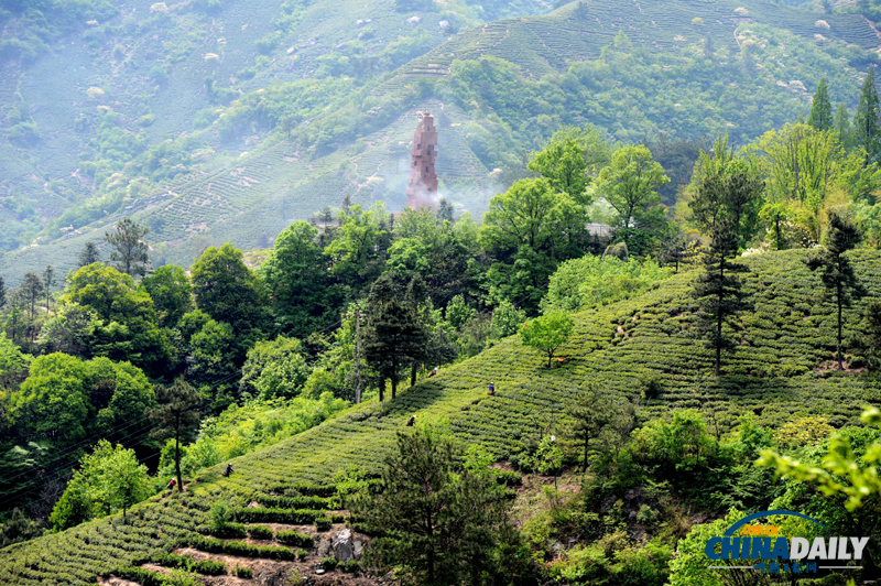 河南信陽(yáng)：田園風(fēng)光美景如畫(huà)卷