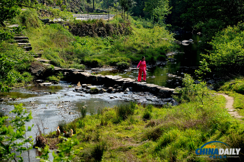 河南信陽：田園風光美景如畫卷