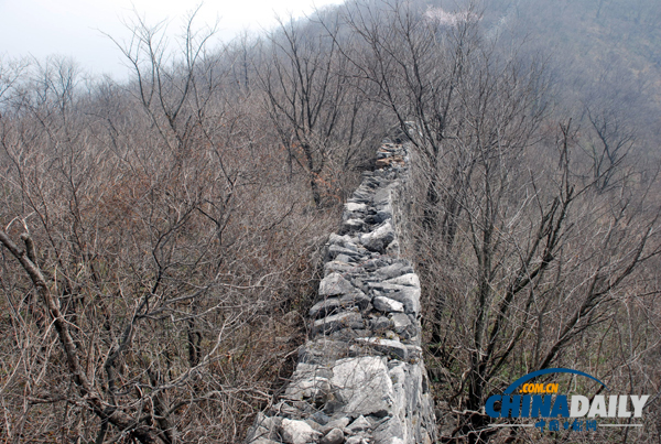 河南桐柏“楚長城遺址”躋身省級文物保護單位名錄