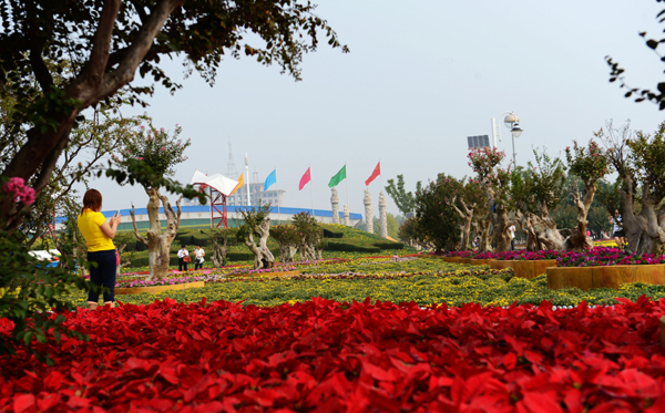 第十三屆中原花木交易博覽會(huì)在許昌鄢陵開幕