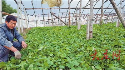 黑龍江肇源遭大風(fēng)襲擊風(fēng)力超10級(jí) 損失超千萬元