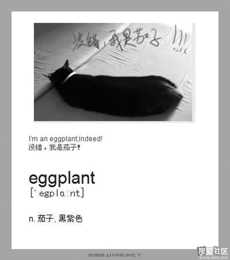 另類單詞速記法瘋傳 網(wǎng)友高呼“收進(jìn)教材”