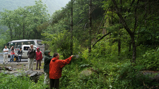 全球首部中美合作野人電影《大腳印》將在神農(nóng)架開(kāi)拍