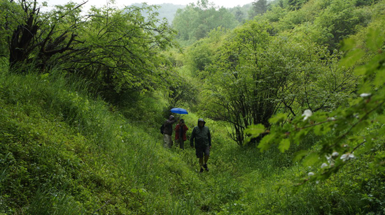 全球首部中美合作野人電影《大腳印》將在神農(nóng)架開(kāi)拍