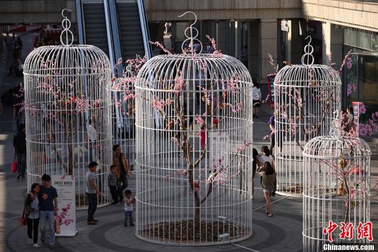 南京街頭“巨型鳥籠”陣倡導(dǎo)綠色生活