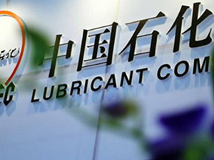 人民財(cái)評:癡迷于“財(cái)富500強(qiáng)” 我們很可能誤入歧途