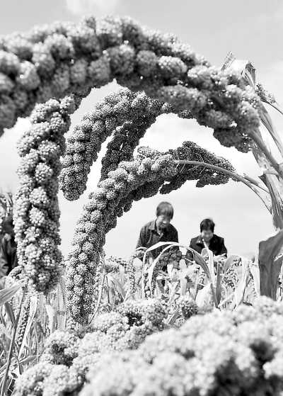 糧價(jià)暴漲不會沖擊國內(nèi)市場