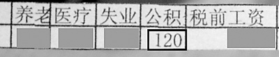 公積金百倍差距怎么辦:有人剛過一百 有人超過一萬(wàn)