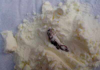 多美滋奶粉吃出風(fēng)干蟑螂 售后稱你帶孩子找消協(xié) 圖