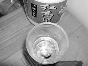 瓷瓶白酒里倒出蟲(chóng)子了