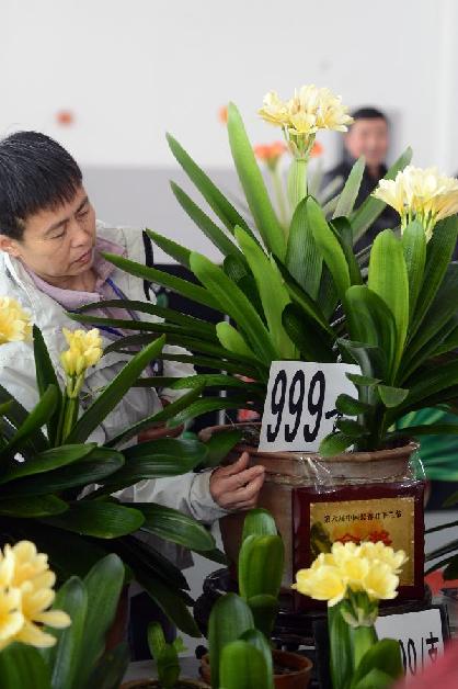 第九屆中國(guó)長(zhǎng)春君子蘭節(jié)開(kāi)幕