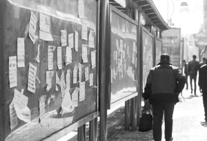 長(zhǎng)春多處公交站候車亭遭野廣告“敷臉” 市民可舉報(bào)