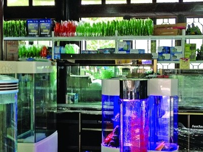 “王昌齡宴飲處”被寵物店占領(lǐng) 網(wǎng)友斥糟蹋古跡(圖)