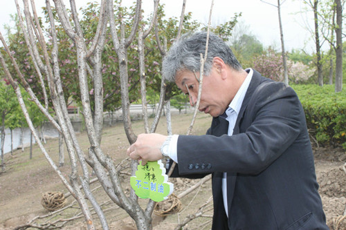張家港舉辦外商種櫻花、享美食活動