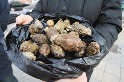 治咽炎鼻炎“神藥”分公母多人大忽悠當街把人唬