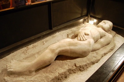 史上五個(gè)最著名科學(xué)騙局:遼寧古盜鳥上榜