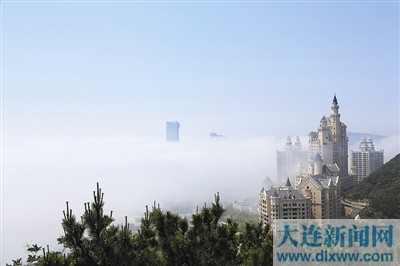 大連:冷霧無(wú)聲濕花木 細(xì)雨有情洗路街(圖)