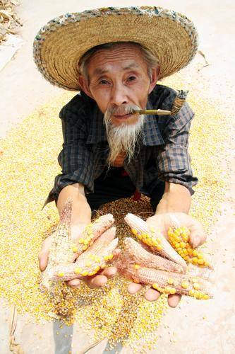 中國農(nóng)業(yè)融入世界大舞臺 已成為第四大進口國