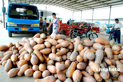 我發(fā)布首個農(nóng)產(chǎn)品出口五年規(guī)劃 2010年達(dá)380億