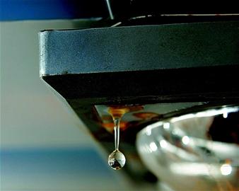 揭秘成都“蜂巢族”:80平米房擺25張床(組圖)