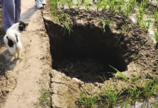 綿陽新皂鎮(zhèn)秧田地陷突現(xiàn)神秘大坑 原因暫不明