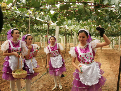 張裕打造國際一流葡萄基地