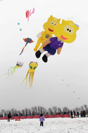 第30屆濰坊國(guó)際風(fēng)箏會(huì)開(kāi)幕 海內(nèi)外風(fēng)箏高手雪上競(jìng)賽