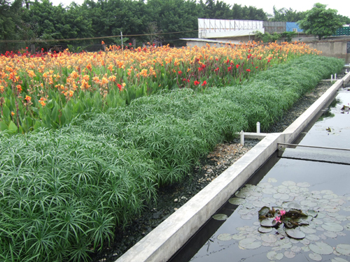 青島啤酒五度蟬聯(lián)“綠公司百強(qiáng)”、位列“國有控股前三甲”