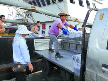 最低僅售2.5元一斤 罕見連年豐 梭子蟹賣白菜價