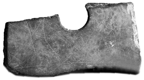 中國最早原始文字引熱議 被指是刻畫 非漢字前身