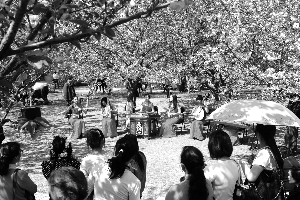 北京昨日30.3℃十年同期最熱 森林火險(xiǎn)等級升至一級