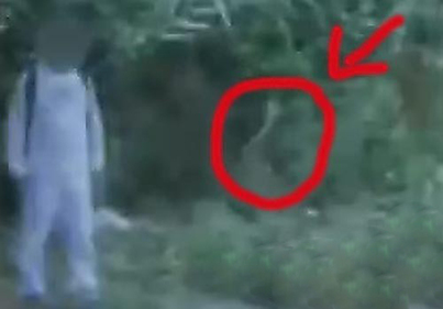 盤點那些真真假假的“外星人”事件(組圖)