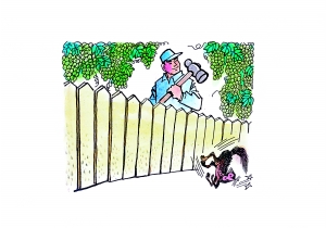 京版《廉政準(zhǔn)則》正式施行