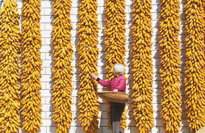 2011，開局之年的“中國答卷”