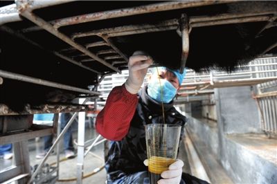 中醫(yī)藥管理局:名貴動(dòng)物源中藥將研發(fā)替代品