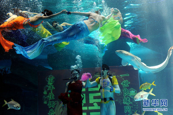 濟南：海底婚禮 見證別樣的“?？菔癄€”