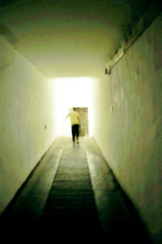 暴雨過(guò)后地下室“蟻?zhàn)?#8221;生存狀況調(diào)查