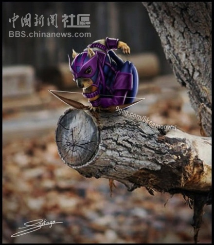 元芳很忙！細數(shù)那些一個不小心就火起來的“忙人”