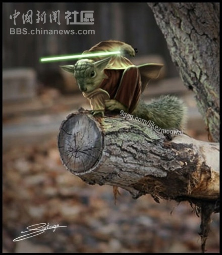 元芳很忙！細數(shù)那些一個不小心就火起來的“忙人”