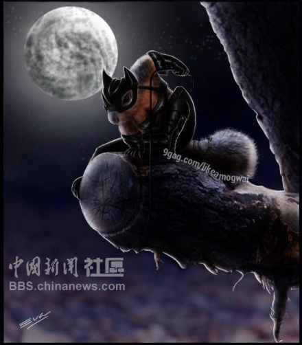 元芳很忙！細數(shù)那些一個不小心就火起來的“忙人”