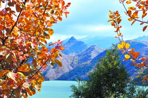 北京供熱辦:下周如遇寒流可隨時供熱 不會多收費