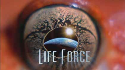 《生命的力量》:進化,地球的生命力量