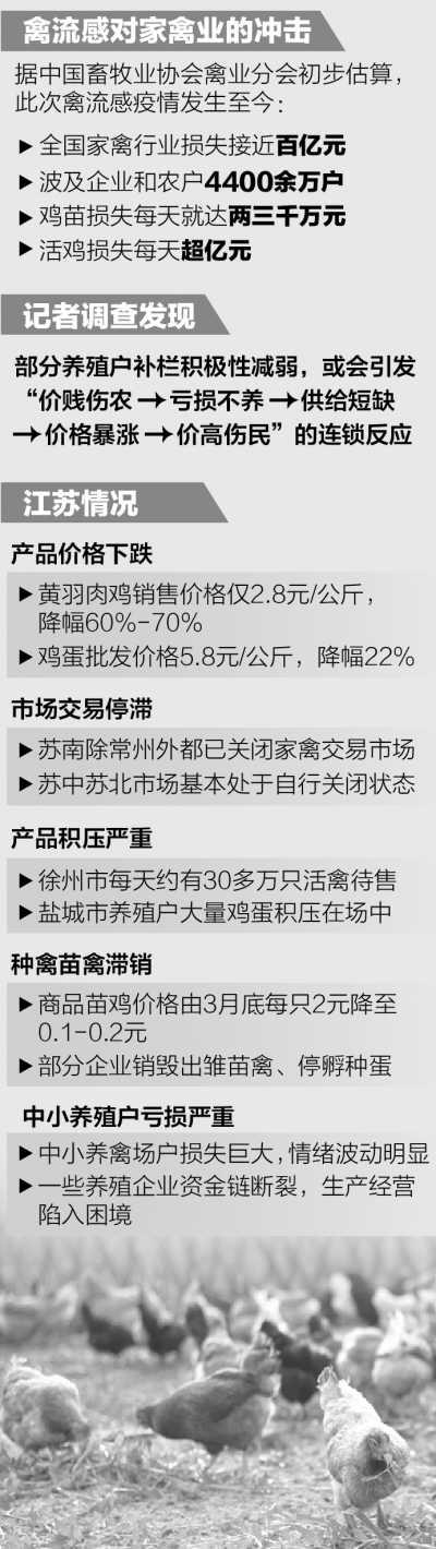 多地禽肉類價格大幅下挫 關(guān)聯(lián)企業(yè)紛紛虧損