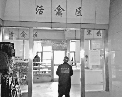 多地禽肉類價格大幅下挫 關(guān)聯(lián)企業(yè)紛紛虧損