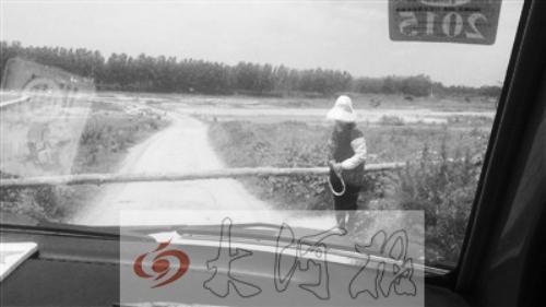 信陽(yáng)現(xiàn)山寨收費(fèi)站：俺修路俺收錢 過(guò)一次掏10元