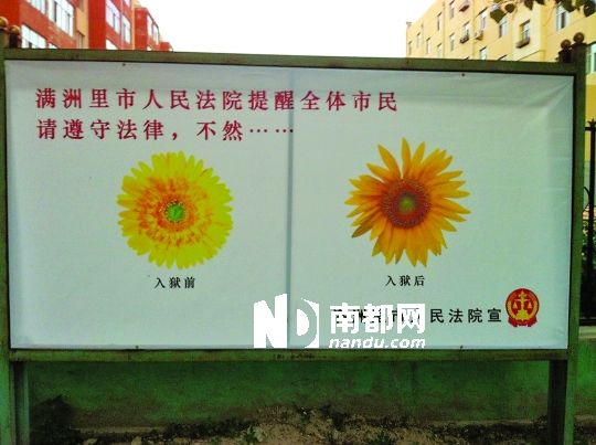 法院推“內(nèi)涵”宣傳畫:菊花入獄后變葵花