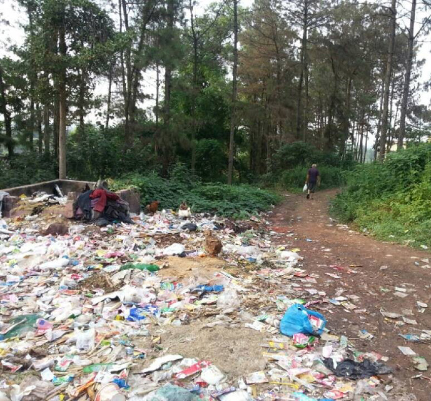 高清:網曝四川一森林公園成垃圾山 滋生大量蒼蠅