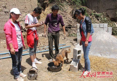 甘肅地震“狗堅(jiān)強(qiáng)”:小黃狗被埋31小時(shí)獲救