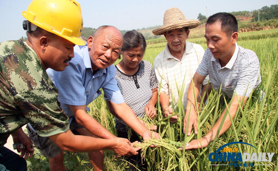 村支書放干自家承包水庫救活鄉(xiāng)親禾苗 3萬斤魚無水曬成魚干